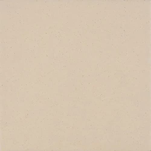 20*20 ANTİASİT BONE 1.KALİTE (0.60m2) - KTH55009622