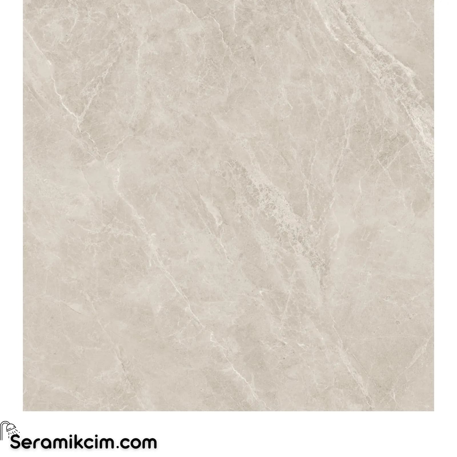 120*120 SWAN LATTE R.P.N. (N) 1.KALİTE (2,88) - KTH55018610RN
